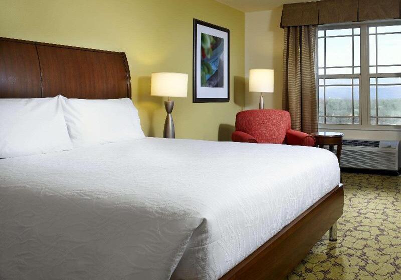 Стандартный Номер Кровать Кинг, Hilton Garden Inn Roanoke