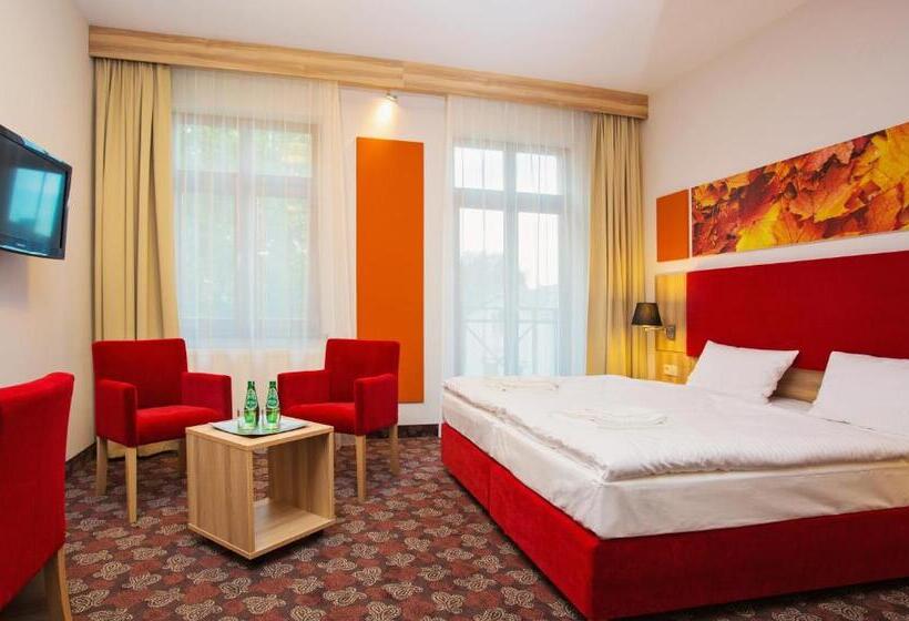 اتاق استاندارد, Cottonina Hotel & Mineral Spa Resort