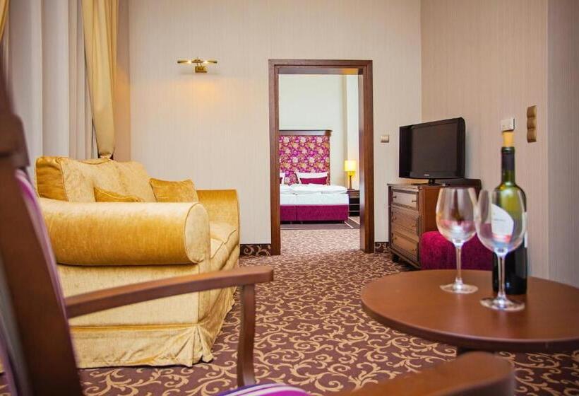 آپارتمان 1 خوابه, Cottonina Hotel & Mineral Spa Resort