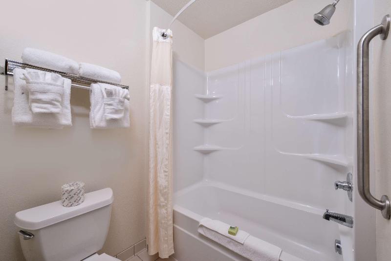 Номер Стандарт Адаптированный для Инвалидов, Holiday Inn Express Sidney, An Ihg