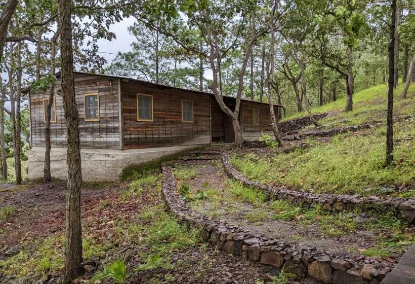 Habitación Deluxe, Posada San Lázaro
