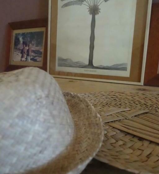 اتاق استاندارد با تراس, Les îles Vagabondes