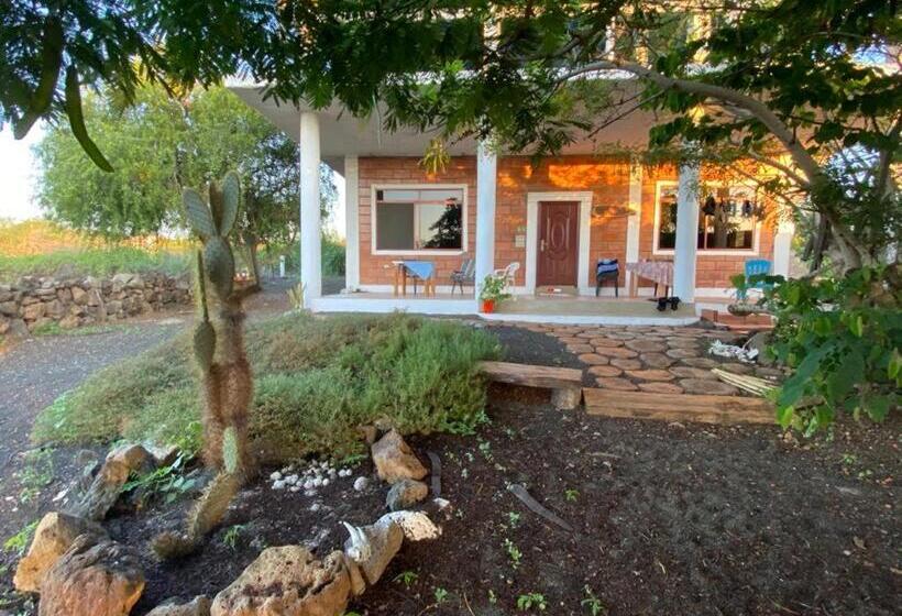 Вилла 2 Спальни, Black Beach House
