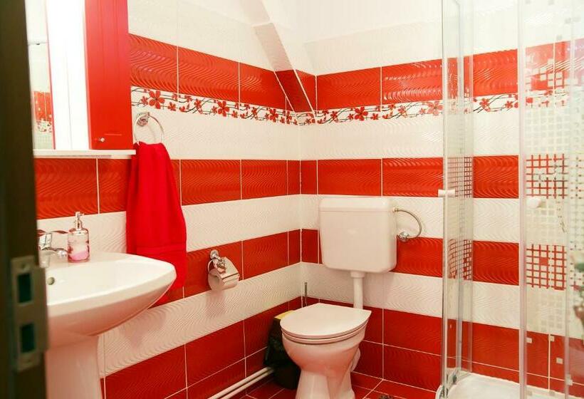 Трехместный Номер Стандарт Вид на Сад, Casa Doboş