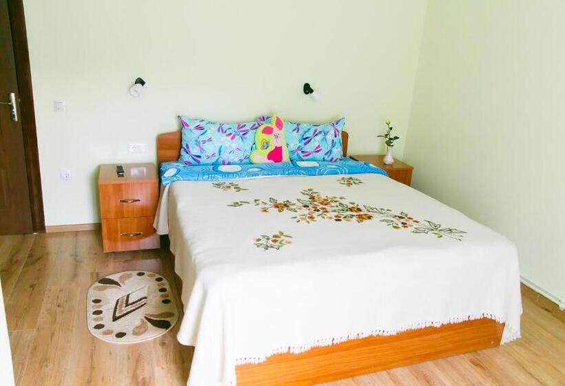 Номер Economy, Casa Doboş