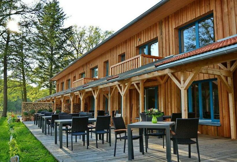 Номер Стандарт Вид на Озеро, Seehaus Hartwigsdorf