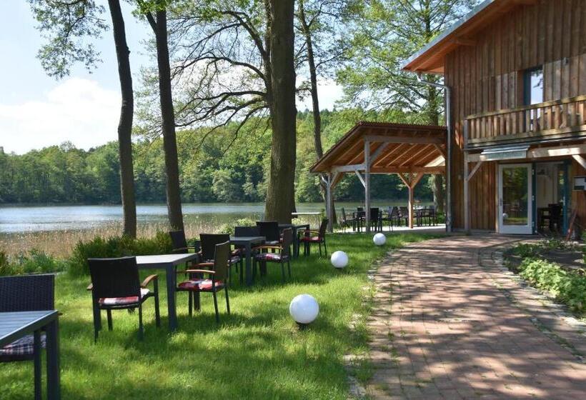 Номер Стандарт Вид на Озеро, Seehaus Hartwigsdorf