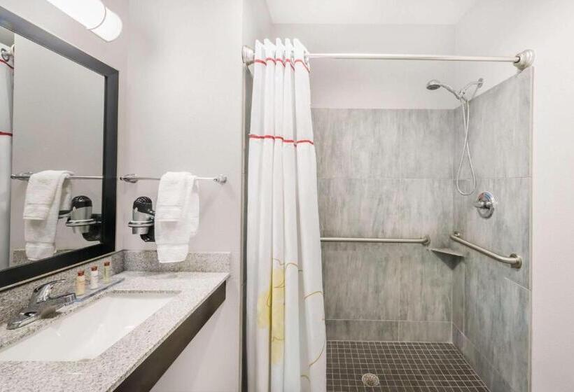 Стандартный Номер Кровать Кинг, Hawthorn Extended Stay By Wyndham Midland