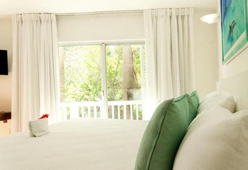 Quarto Estandar Cama King, Paradise Beach Hotel & Resort
