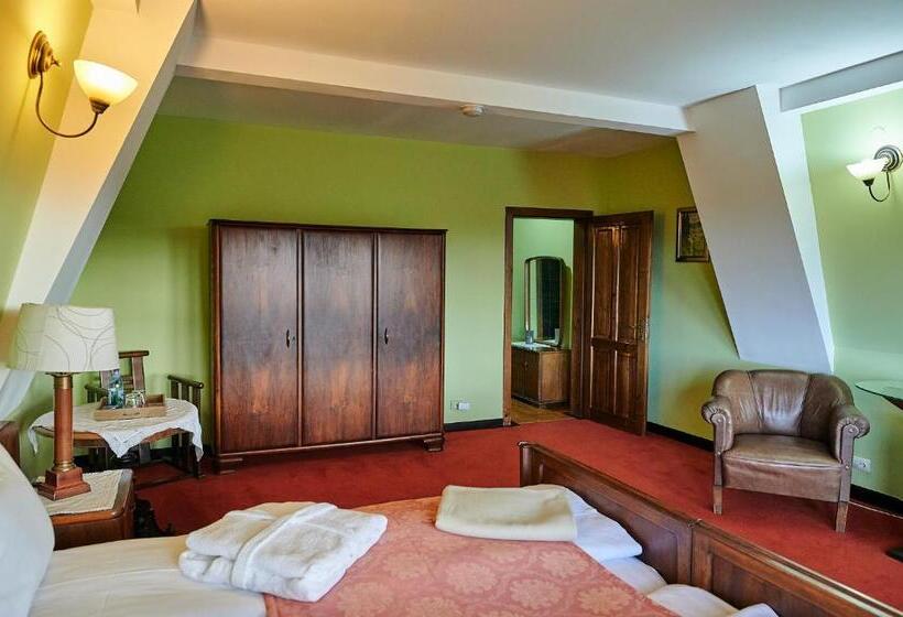 Номер Deluxe, Saciova Hills