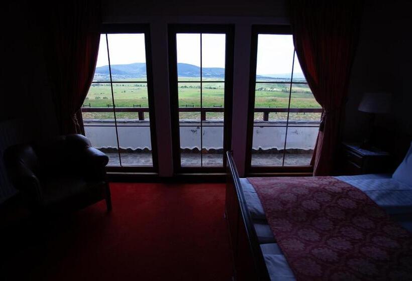 Номер Deluxe, Saciova Hills