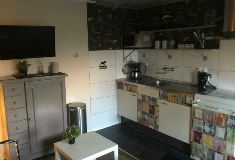 Апартаменты 1 Спальня, B&b Zonnedauw