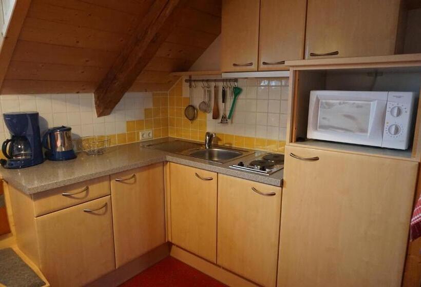 Апартаменты 1 Спальня с Видом, Schmiedlehnerhof