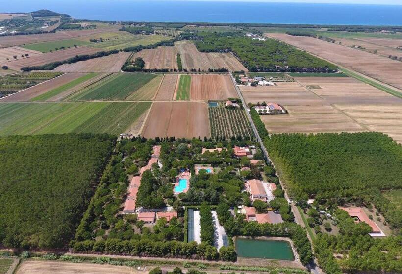 استودیوی استاندارد, Ghiacci Vecchi Residence