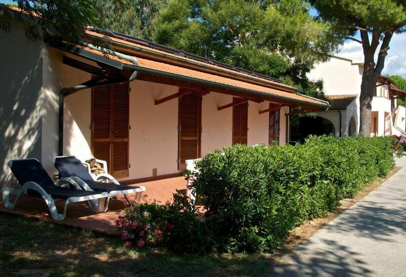 استودیوی استاندارد, Ghiacci Vecchi Residence