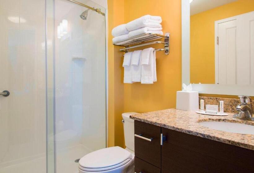 Люкс 2 Спальни, Towneplace Suites By Marriott Lexington South/hamburg Place