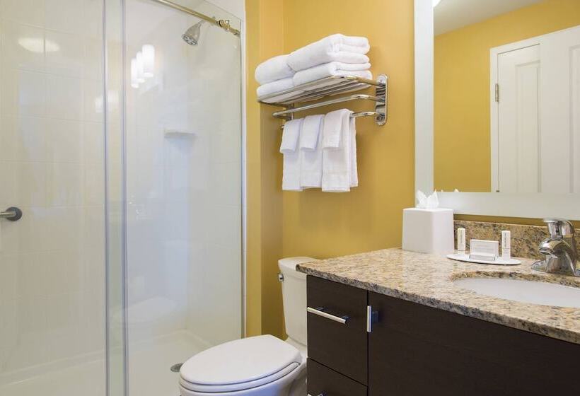 Люкс 2 Спальни, Towneplace Suites By Marriott Lexington South/hamburg Place