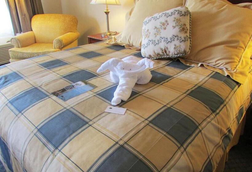 Júnior Suíte Cama King, Arbors At Island Landing Hotel & Suites