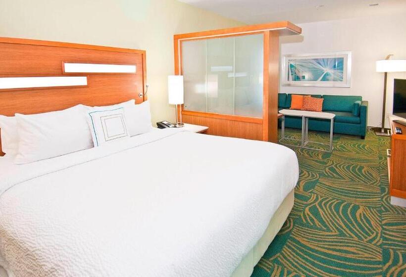 스탠다드 스튜디오 킹침대, Springhill Suites By Marriott Baton Rouge Gonzales