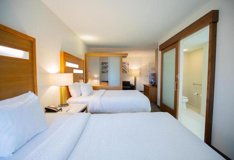 스탠다드 스튜디오, Springhill Suites By Marriott Baton Rouge Gonzales