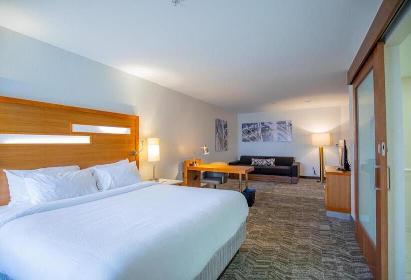 스탠다드 스튜디오 킹침대, Springhill Suites By Marriott Baton Rouge Gonzales