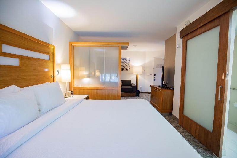 스탠다드 스튜디오 킹침대, Springhill Suites By Marriott Baton Rouge Gonzales