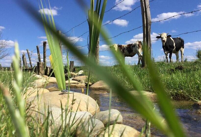 Номер Стандарт, Domaine Du Moulin De Jeanne