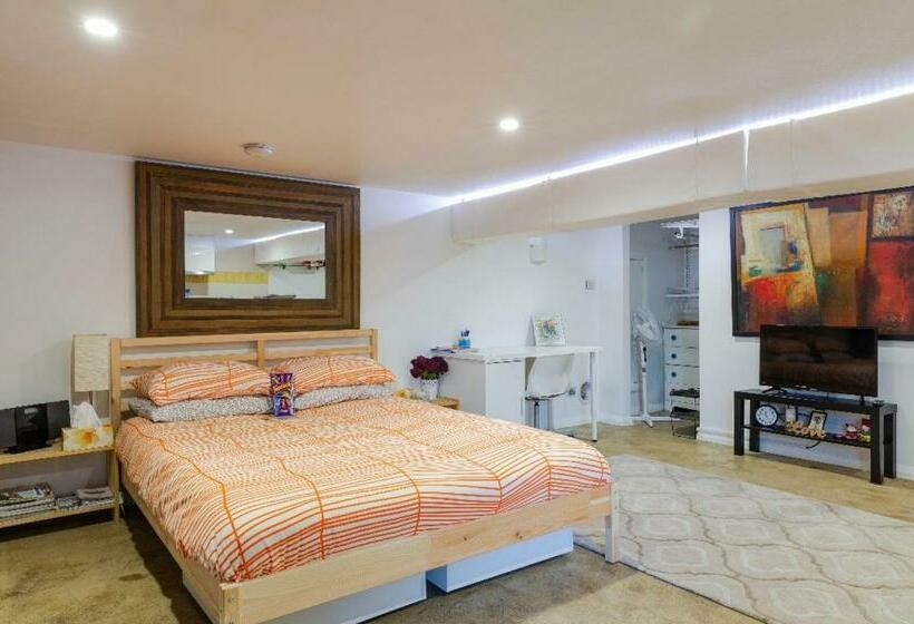 스탠다드 스튜디오, Modern & Homely Comfort