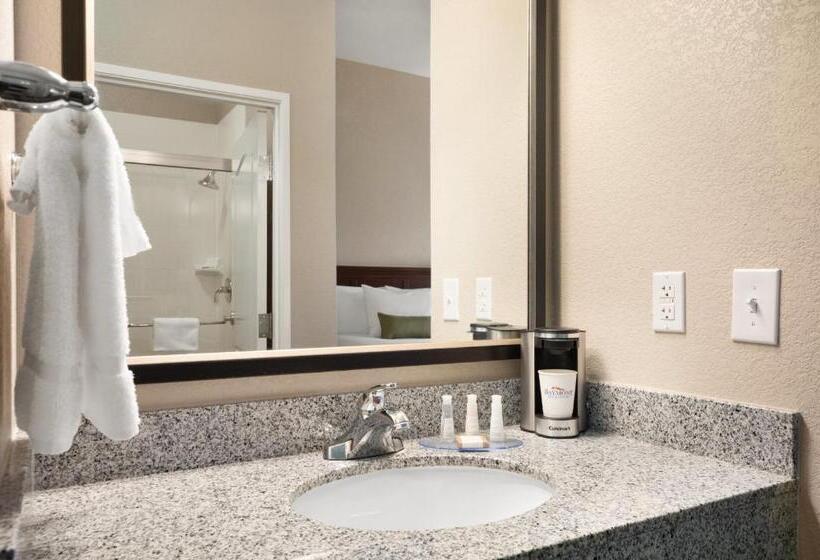 Люкс Deluxe Кровать Кинг, Baymont Inn & Suites By Wyndham Odessa