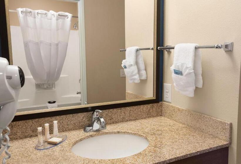 Люкс, Baymont Inn & Suites By Wyndham Odessa