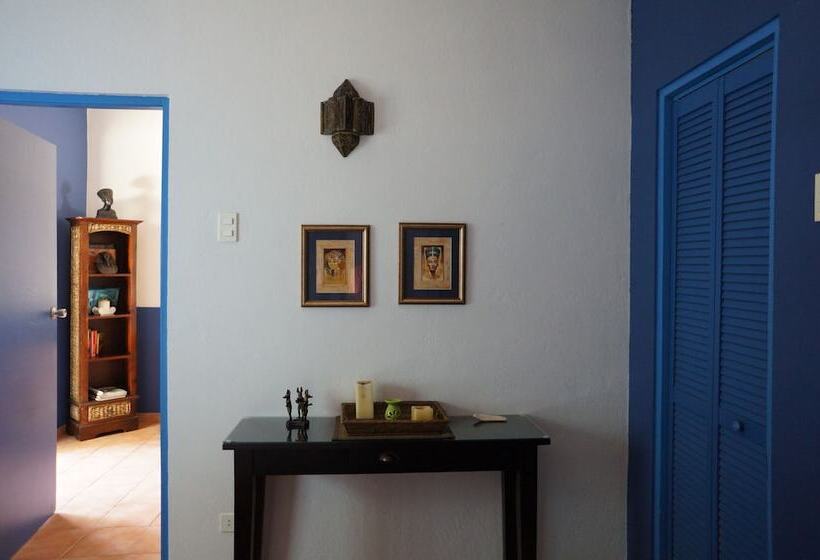 آپارتمان 1 خوابه, Caribbean Chillout Apartments