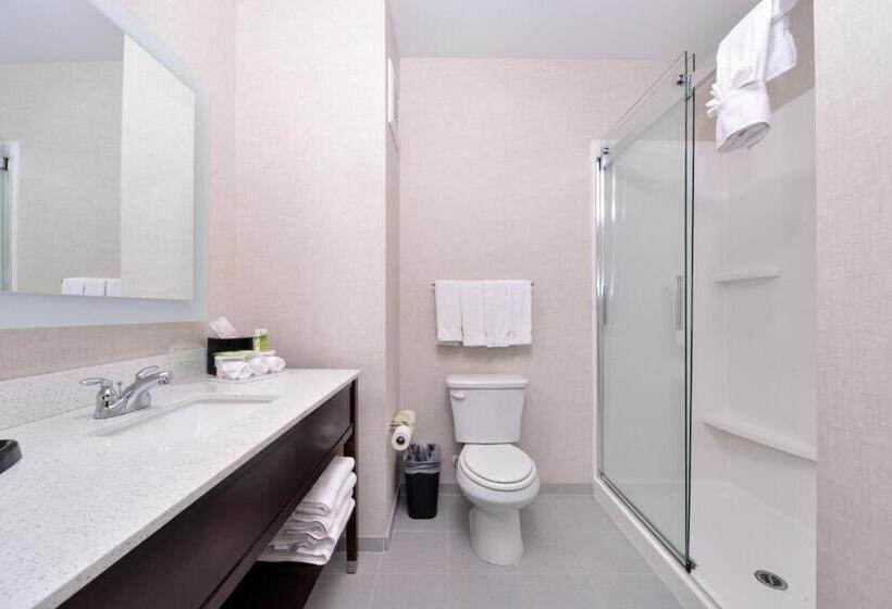 Номер Стандарт Кровать Кинг Адаптированный для Инвалидов, Holiday Inn Express Hotels & Suites Loma Linda, An Ihg