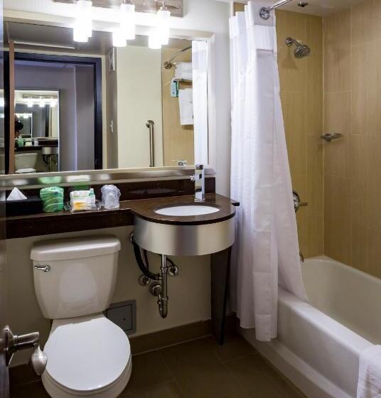 Номер Superior, Holiday Inn Houston Downtown, An Ihg