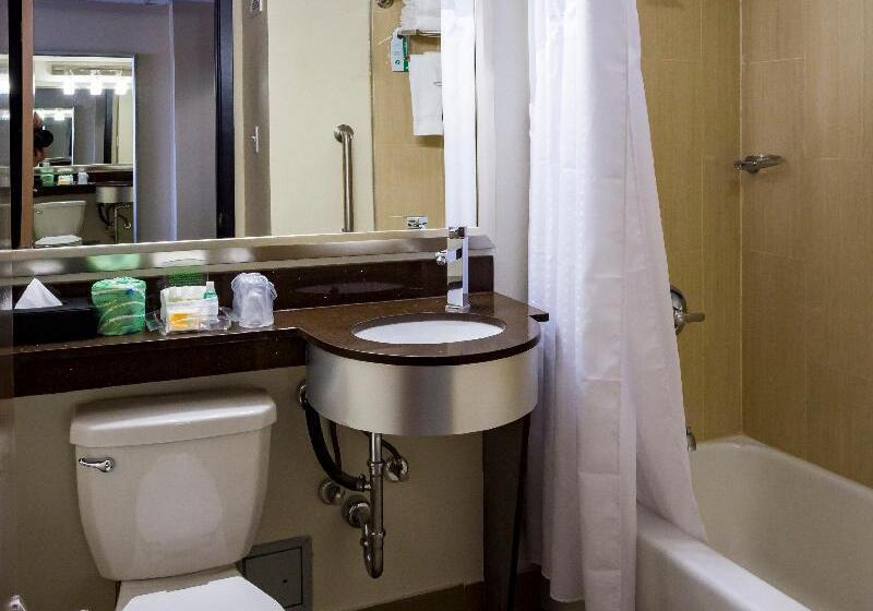 Номер Стандарт, Holiday Inn Houston Downtown, An Ihg