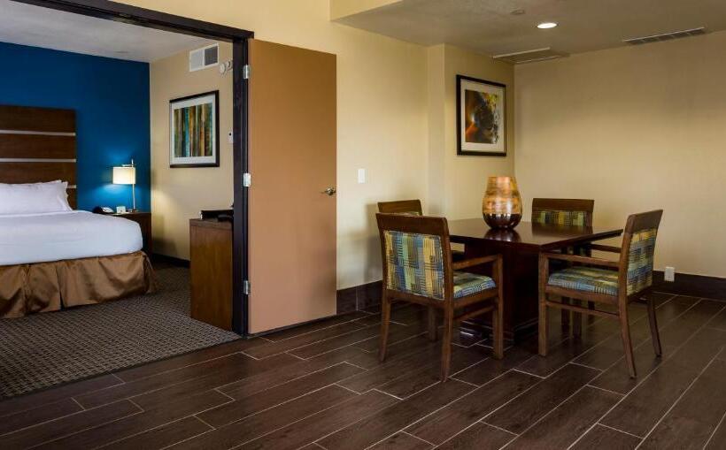 Номер Superior, Holiday Inn Houston Downtown, An Ihg