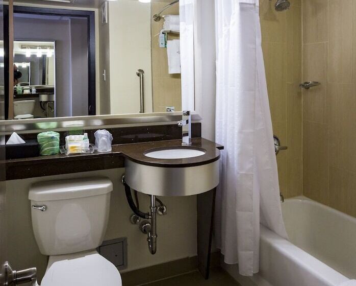 Номер Стандарт, Holiday Inn Houston Downtown, An Ihg