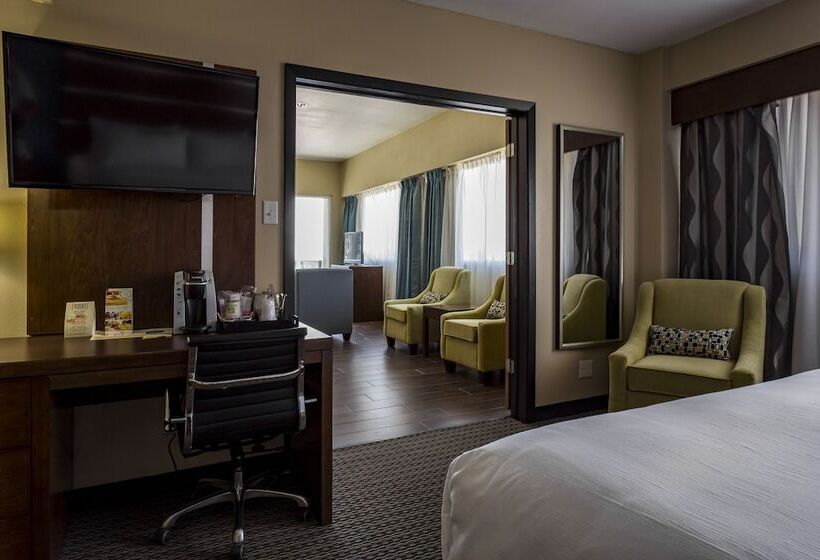 Люкс Адаптированный для Инвалидов, Holiday Inn Houston Downtown, An Ihg