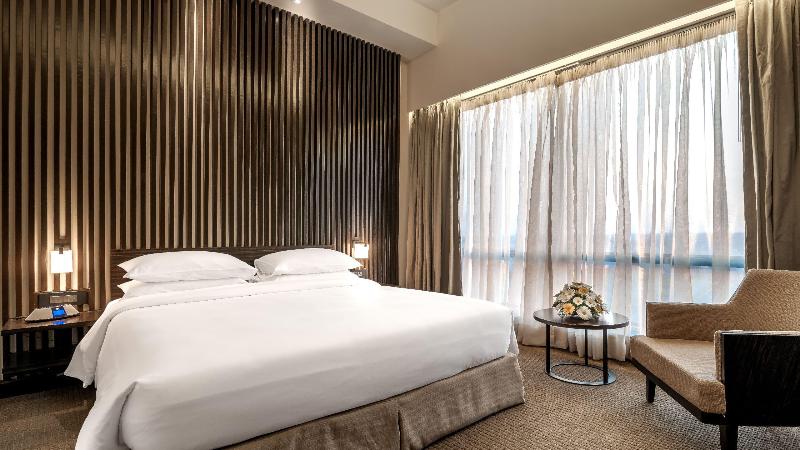 Президентский Люкс, Hyatt Raipur
