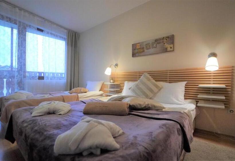 Апартаменты Deluxe 1 Спальня, Pirin River Ski, Fun And Family