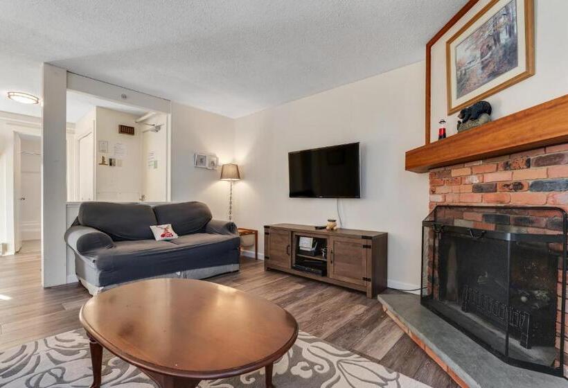 Апартаменты 1 Спальня, Bromley Mountain Condo