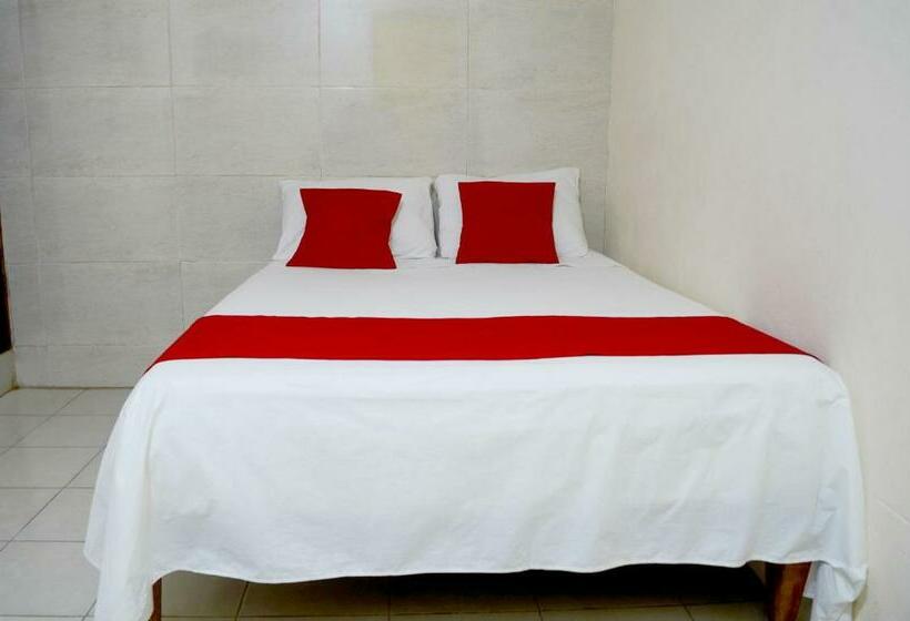Quarto Estandar, Rosa Del Alba