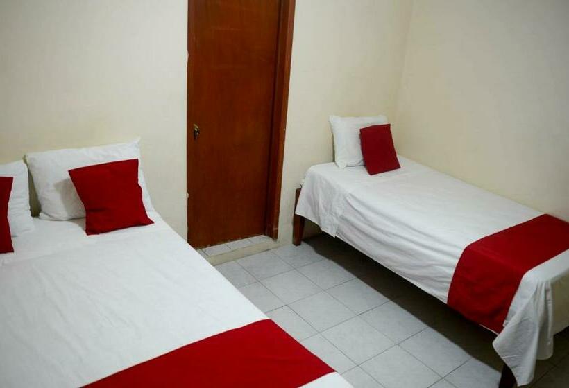 Quarto Triplo Estandar, Rosa Del Alba