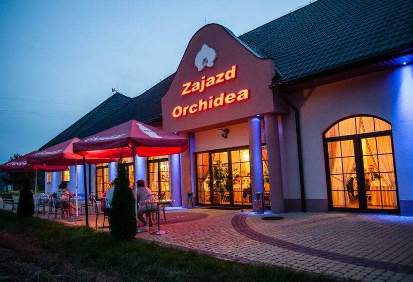 标准单人间, Zajazd Orchidea   Hotel 24h