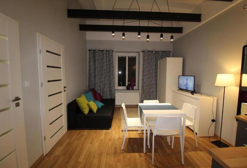 آپارتمان 1 خوابه, Apartamenty Centrum Częstochowa Stara Kamienica