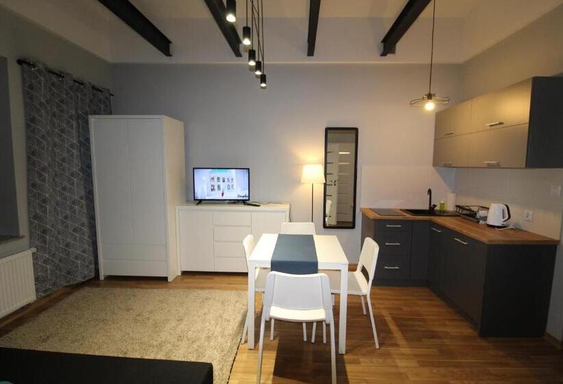آپارتمان 1 خوابه, Apartamenty Centrum Częstochowa Stara Kamienica