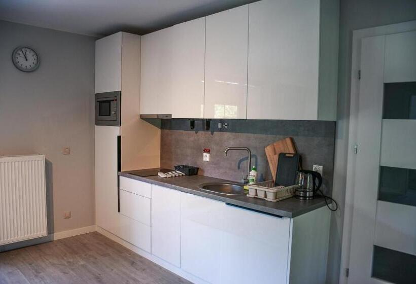 Апартаменты Deluxe 1 Спальня, Apartamenty Liliowa 3