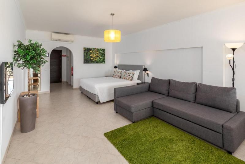 스탠다드 룸 킹사이즈 침대, Hollander Hotel   Downtown St. Petersburg