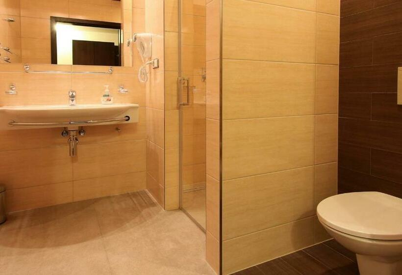 Номер Стандарт, Pensjonat & Spa Raj