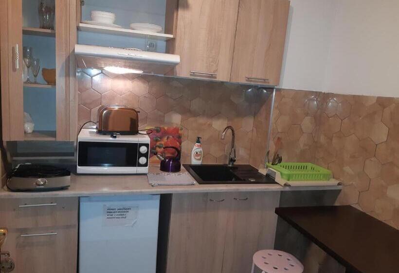 Апартаменты Deluxe 1 Спальня, Apartamenty I Pokoje Gościnne Nowita