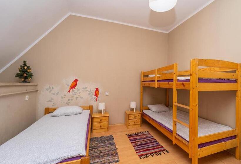 تختخواب در اتاق مشترک, Hostel Universus